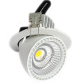 20W Ra80 / Ra90 CREE COB LED Trunk Light